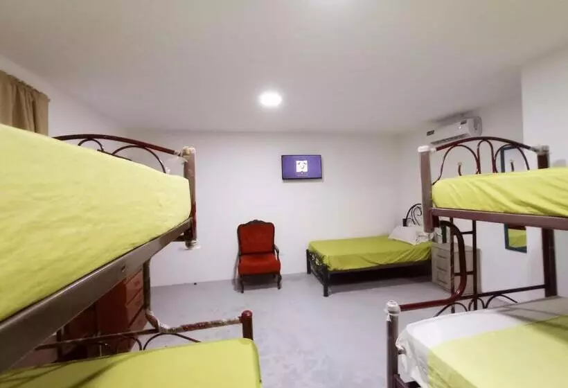 ペンション Hostal El Naufrago 1