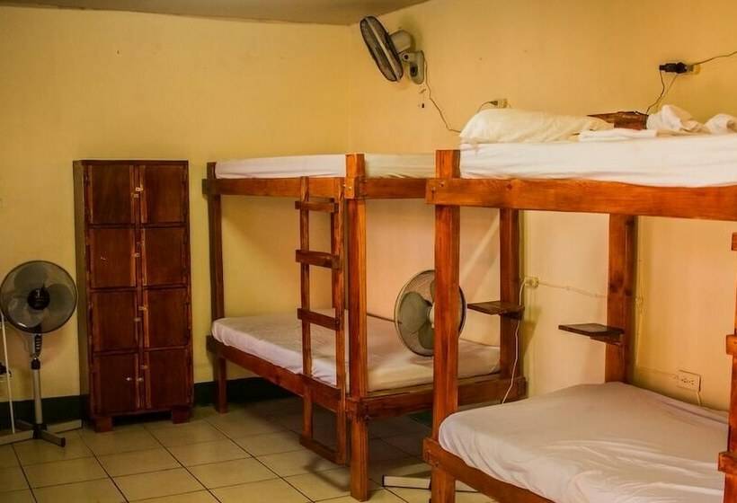 پانسیون Mangos Hostel