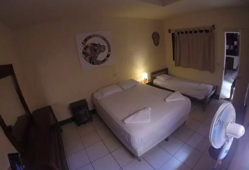 ペンション Mangos Hostel