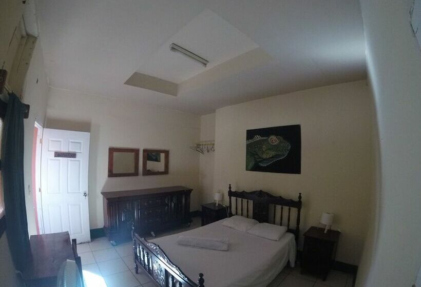 پانسیون Mangos Hostel