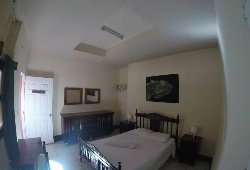 ペンション Mangos Hostel