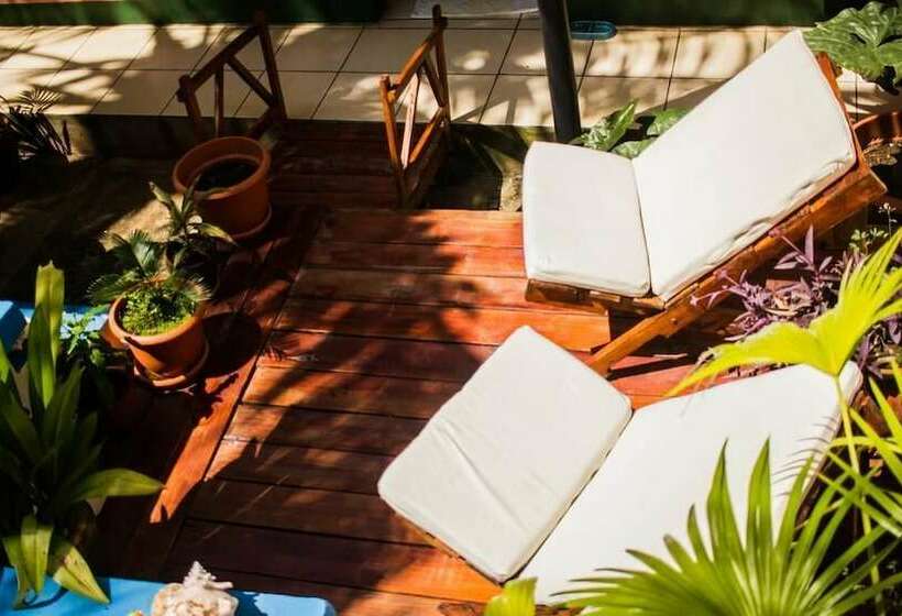 پانسیون Mangos Hostel