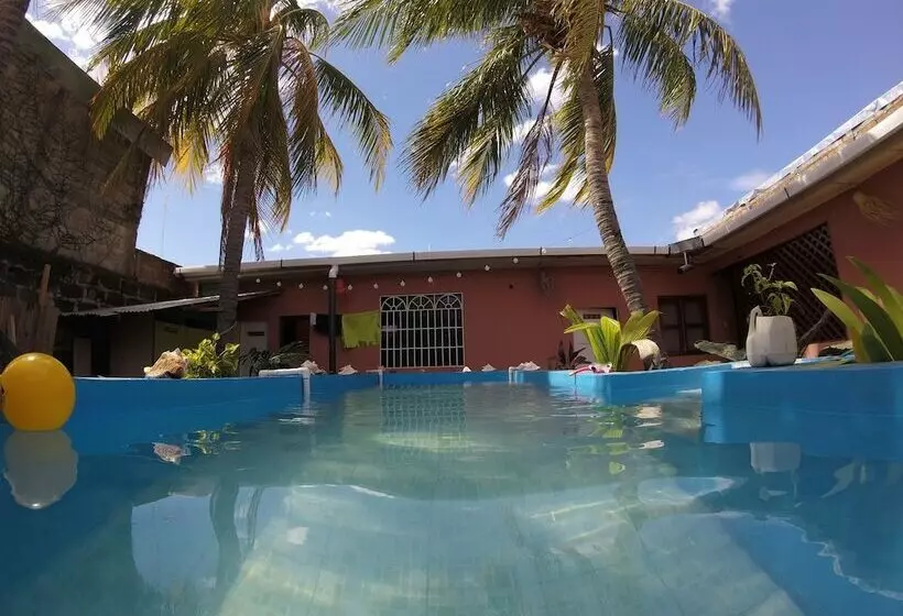 ペンション Mangos Hostel