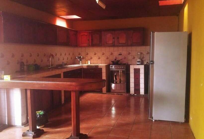 پانسیون Mangos Hostel