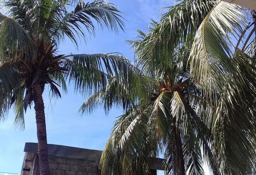 پانسیون Mangos Hostel