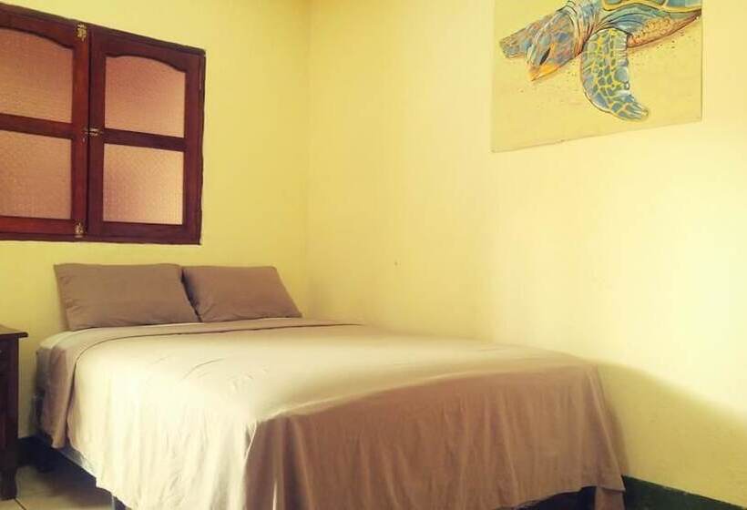 پانسیون Mangos Hostel