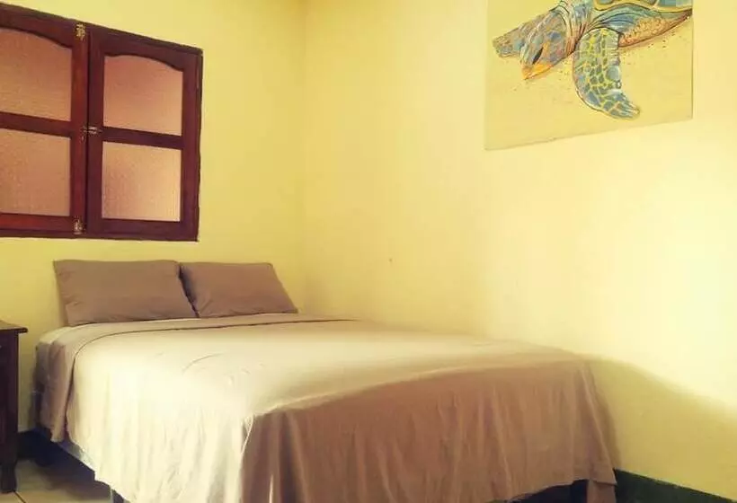 ペンション Mangos Hostel
