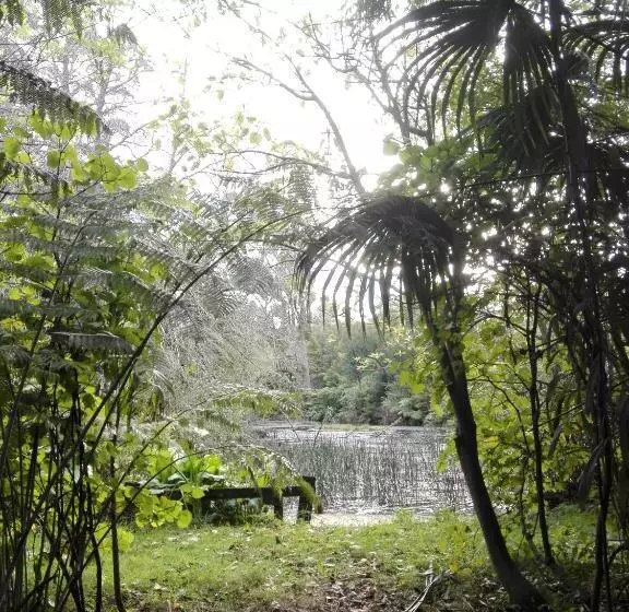 Majatalo Purple Hen Country Lodge