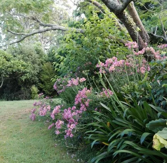 Majatalo Purple Hen Country Lodge