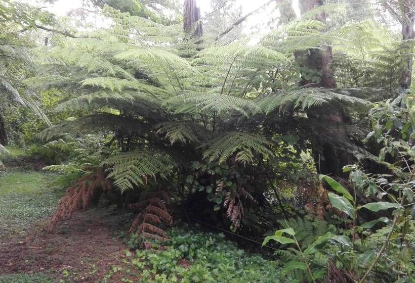 Пансион Purple Hen Country Lodge