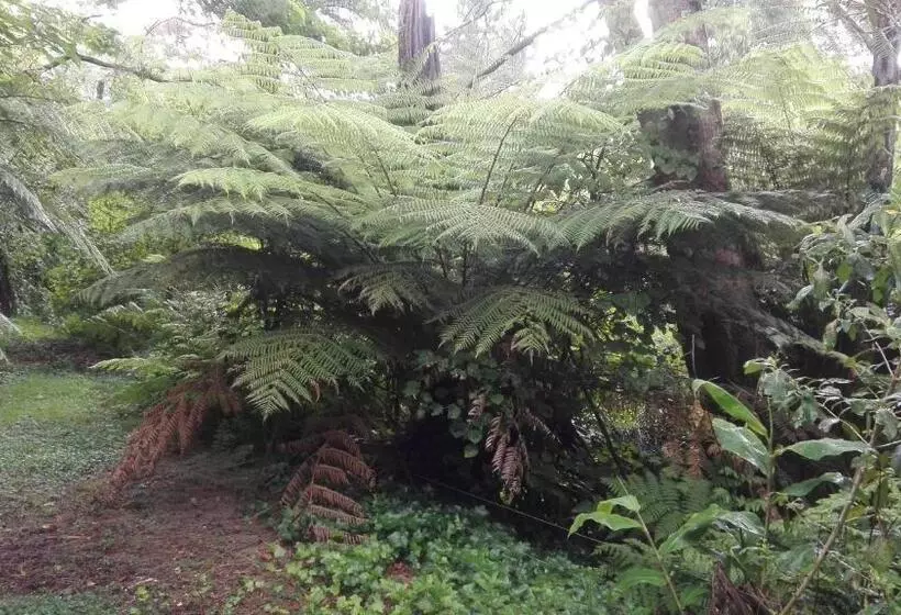 Majatalo Purple Hen Country Lodge