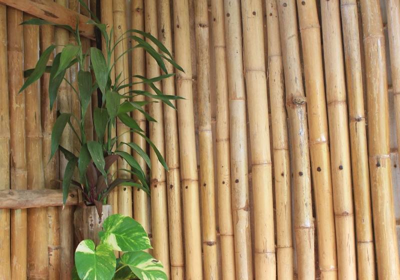 Отель Battambang Dream Bungalows