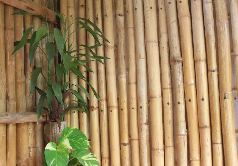 ホテル Battambang Dream Bungalows