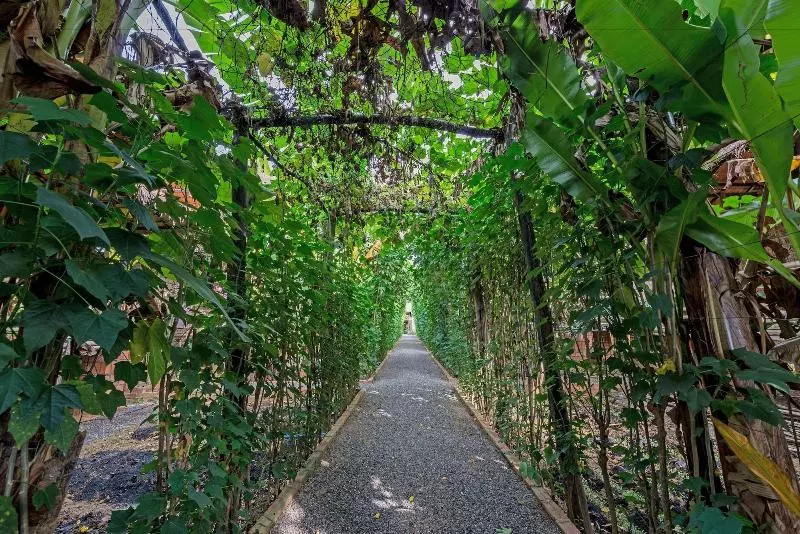 ホテル Battambang Dream Bungalows