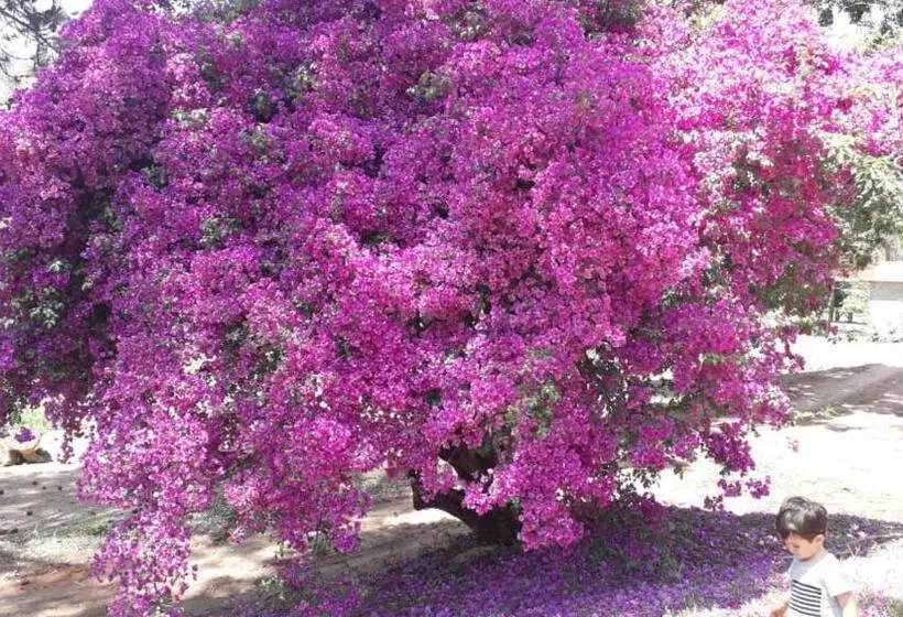 Majatalo Chalés Del Minas