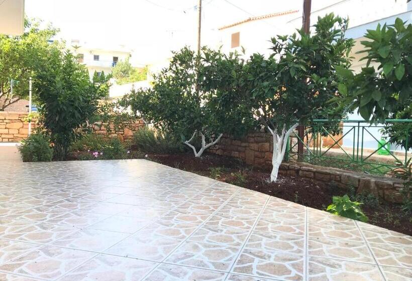 پانسیون Villa Roku