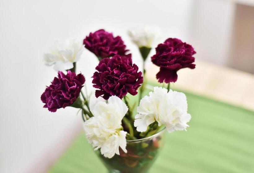 پانسیون Laisves Avenue Hostel Easy Kaunas