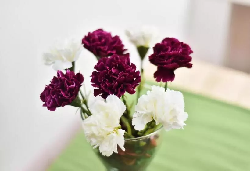 پانسیون Laisves Avenue Hostel Easy Kaunas