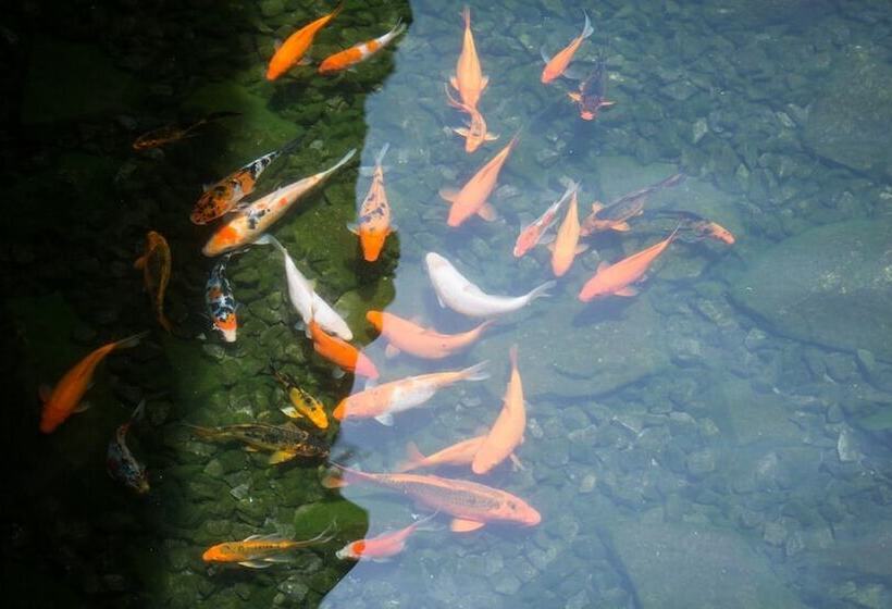 Hotel Wirdana Resort & Spa