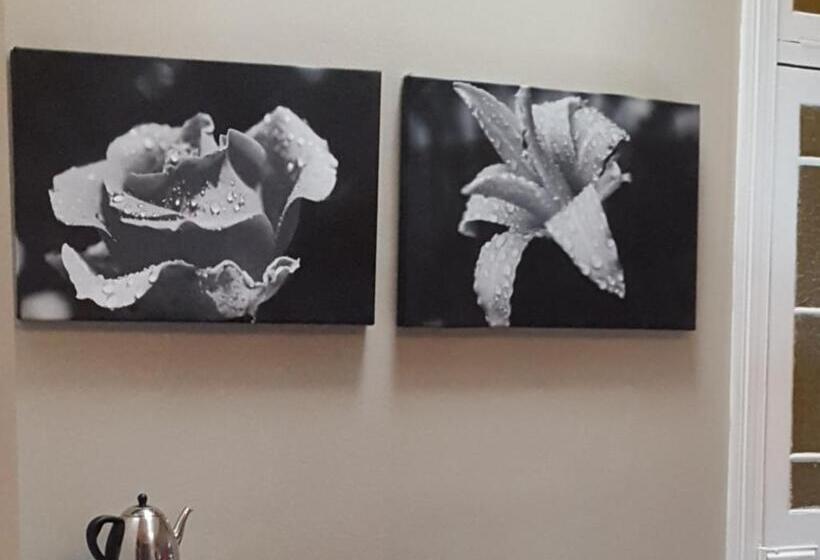 פנסיון Bellevue Manor Guest House