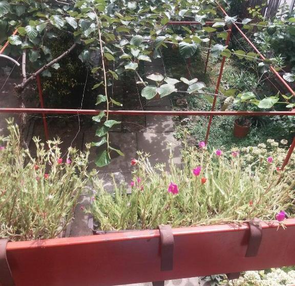 پانسیون Julija Guest House