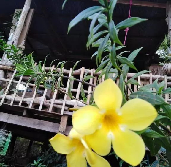 ユースホステル Tree Lodge Banlung