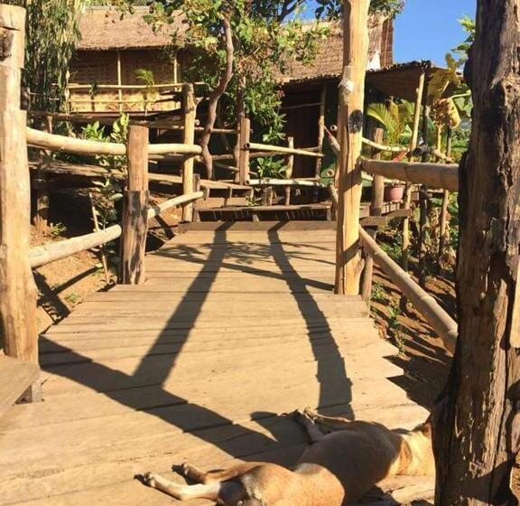 Общежитие Tree Lodge Banlung