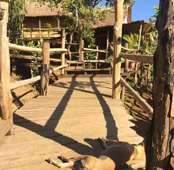 ユースホステル Tree Lodge Banlung