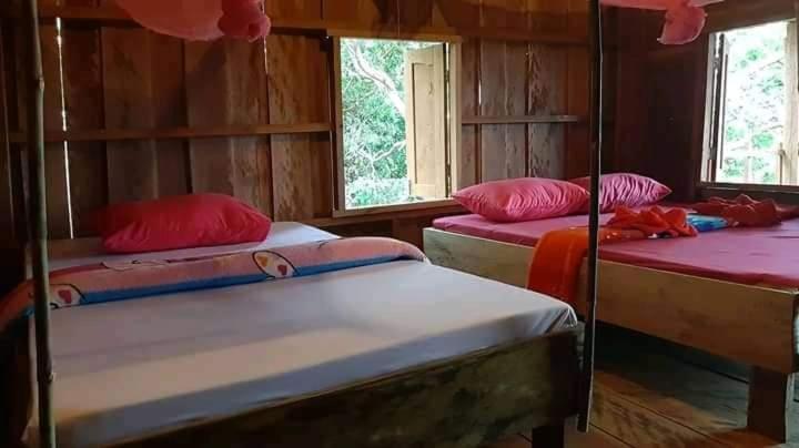 Общежитие Tree Lodge Banlung