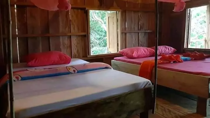 ユースホステル Tree Lodge Banlung
