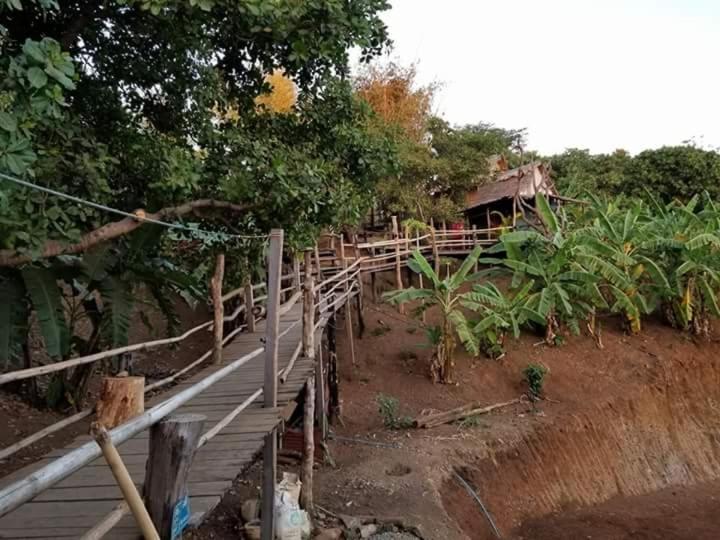 Общежитие Tree Lodge Banlung