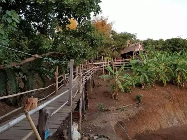 ユースホステル Tree Lodge Banlung