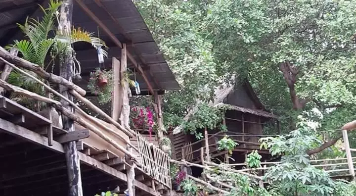 ユースホステル Tree Lodge Banlung