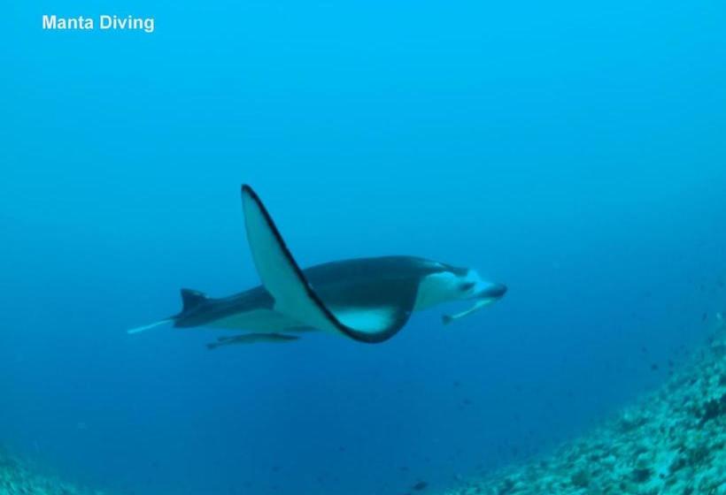 پانسیون Adroit Beach Inn