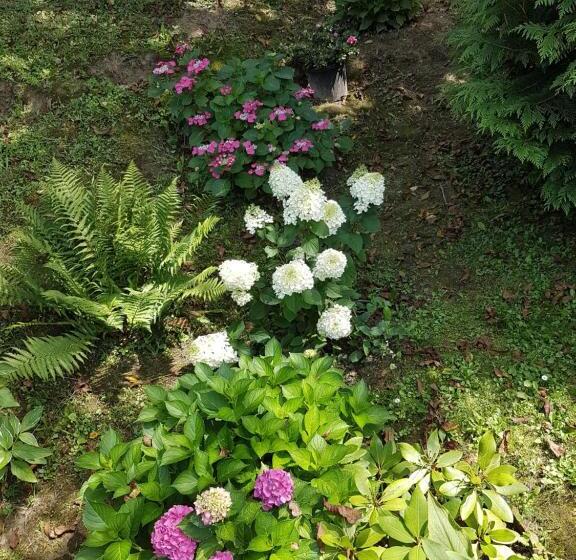 Пансион Levendulás Vendégház