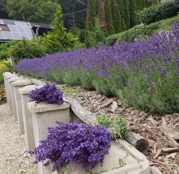 Majatalo Levendulás Vendégház