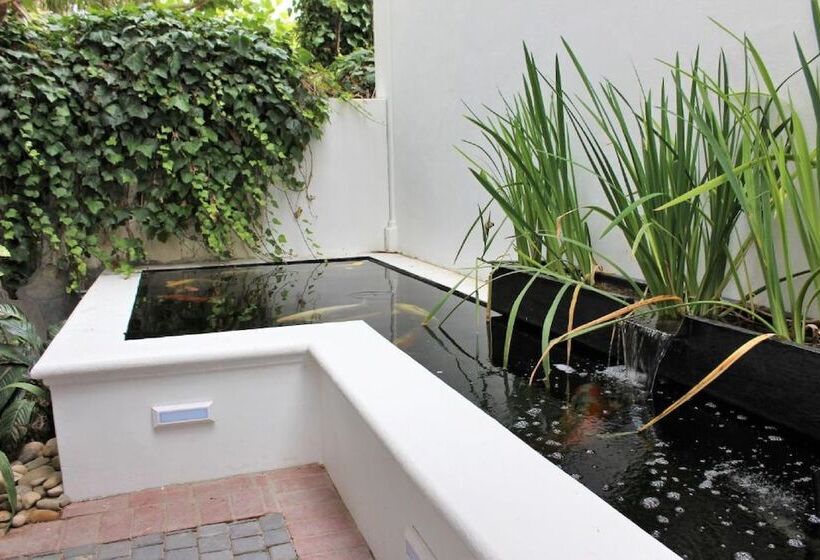 膳宿费 Van Der Stel Manor