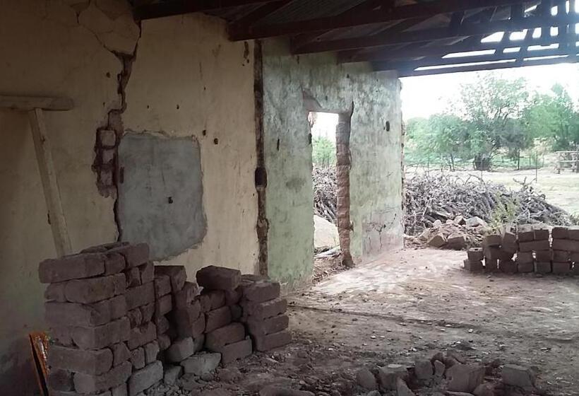 بنسيون Avonsrus Guesthouse