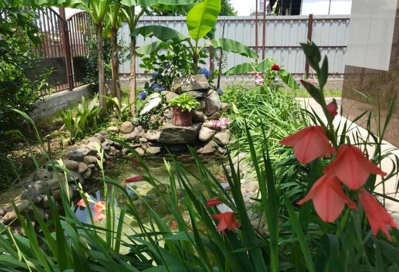 پانسیون Guest House Leto