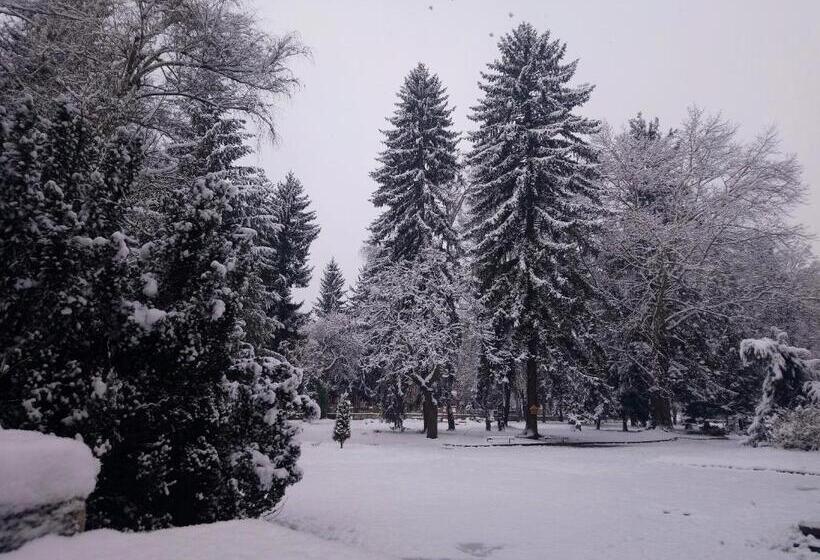 膳宿费 Guest House Pip