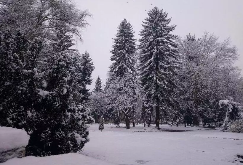 ペンション Guest House Pip