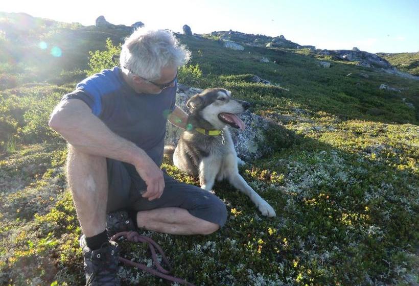 فندق Haukeli Husky Fjellgård