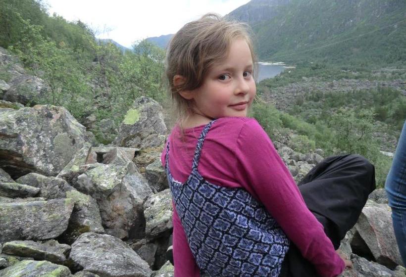 فندق Haukeli Husky Fjellgård