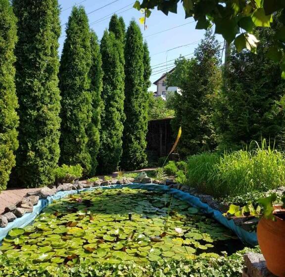 펜션 дом для души с бассейном целиком