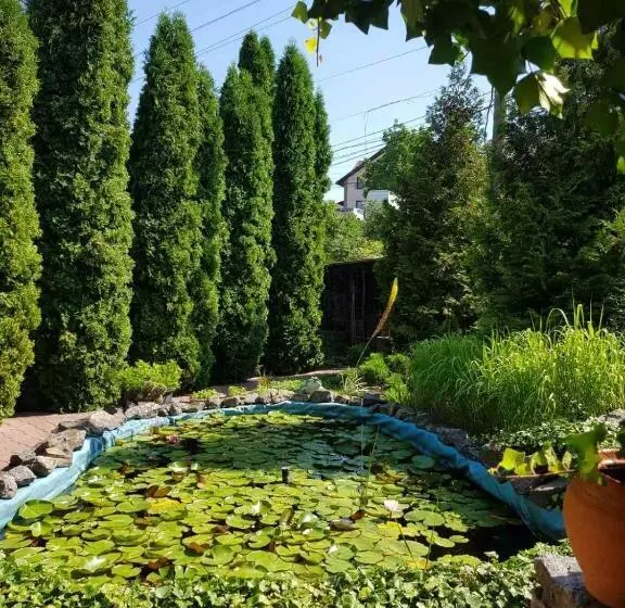 پانسیون дом для души с бассейном целиком