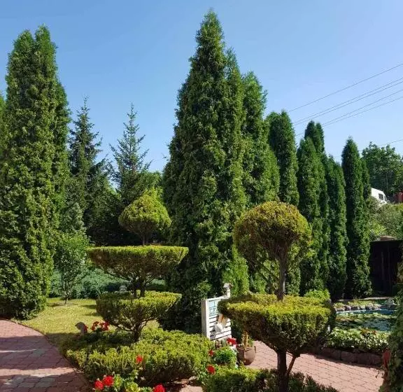 پانسیون дом для души с бассейном целиком