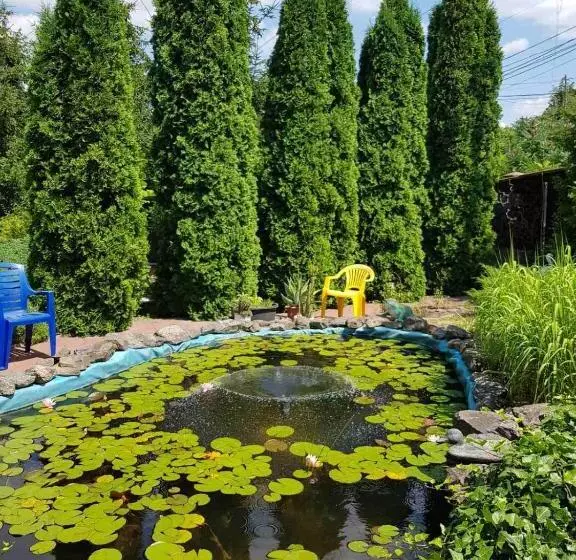 پانسیون дом для души с бассейном целиком