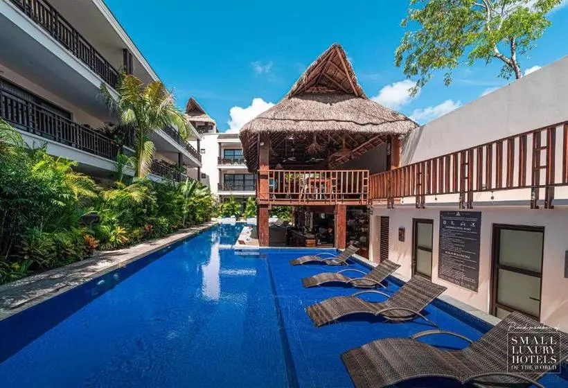 Kasa Hotel Parota