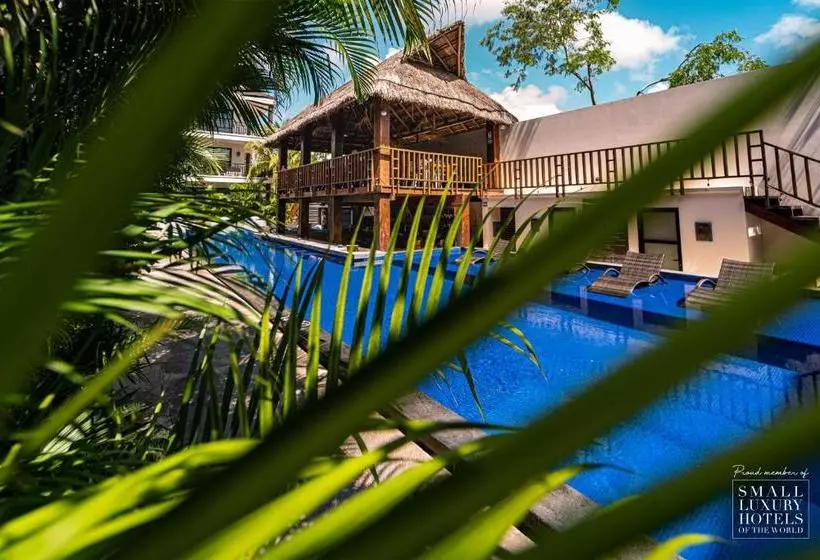 Kasa Hotel Parota