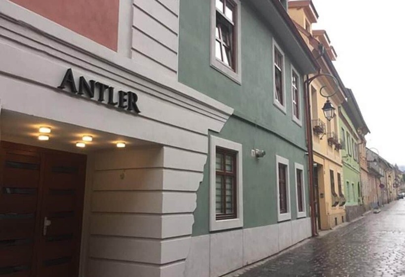 פנסיון Antler